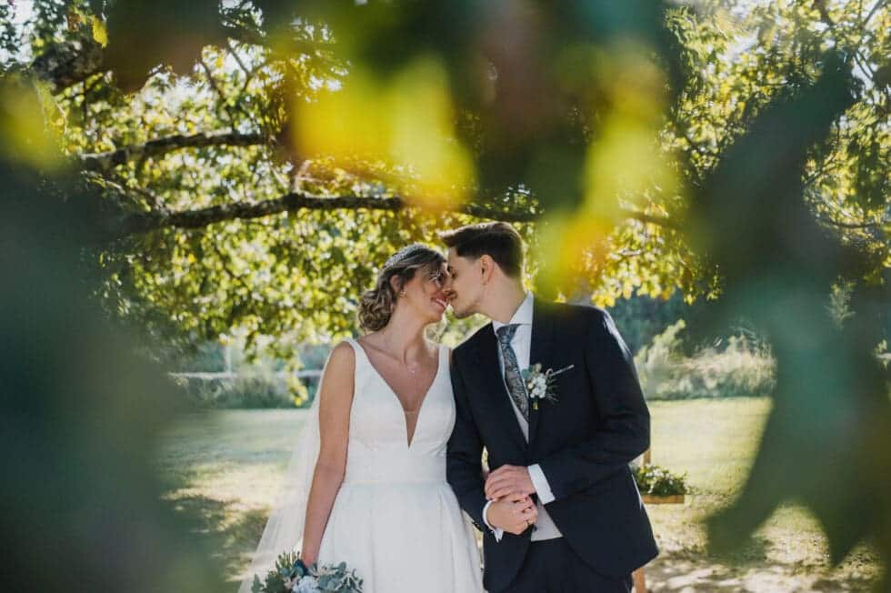 Ein Brautpaar nach der Hochzeit in Dänemark, stehend unter einem Baum und liebevoll lächelnd im Sonnenlicht.